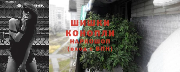 прущие грибы Зеленодольск