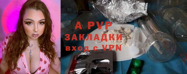 прущие грибы Зеленодольск