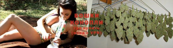 прущие грибы Зеленодольск