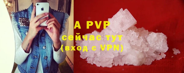 прущие грибы Зеленодольск