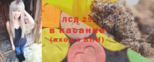 прущие грибы Зеленодольск