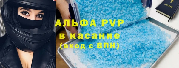 прущие грибы Зеленодольск
